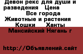 Девон рекс для души и разведения › Цена ­ 20 000 - Все города Животные и растения » Кошки   . Ханты-Мансийский,Нягань г.